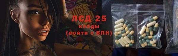 дживик Богородицк
