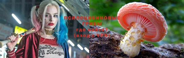 дживик Богородицк
