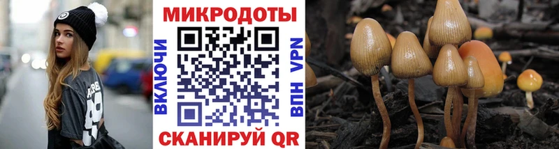 Псилоцибиновые грибы мухоморы hydra tor Кирс